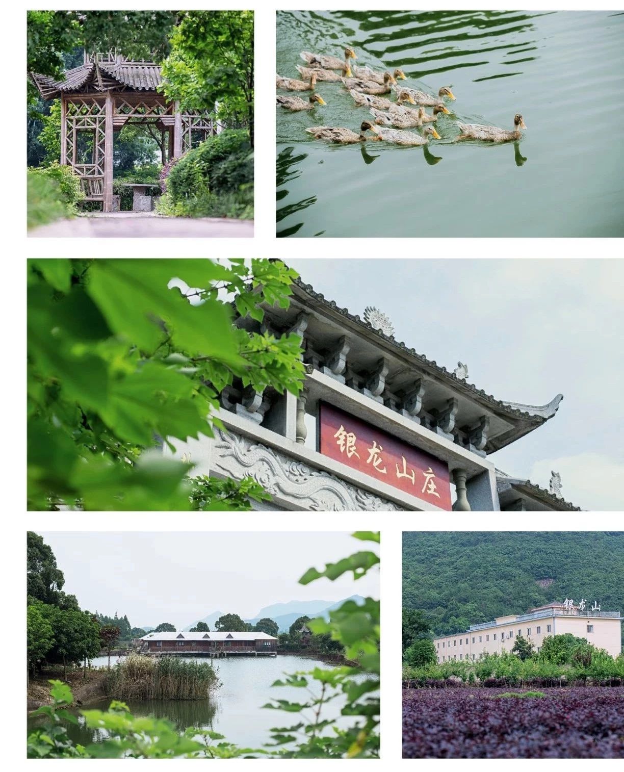 刘丰硕,心相学,群圣文化