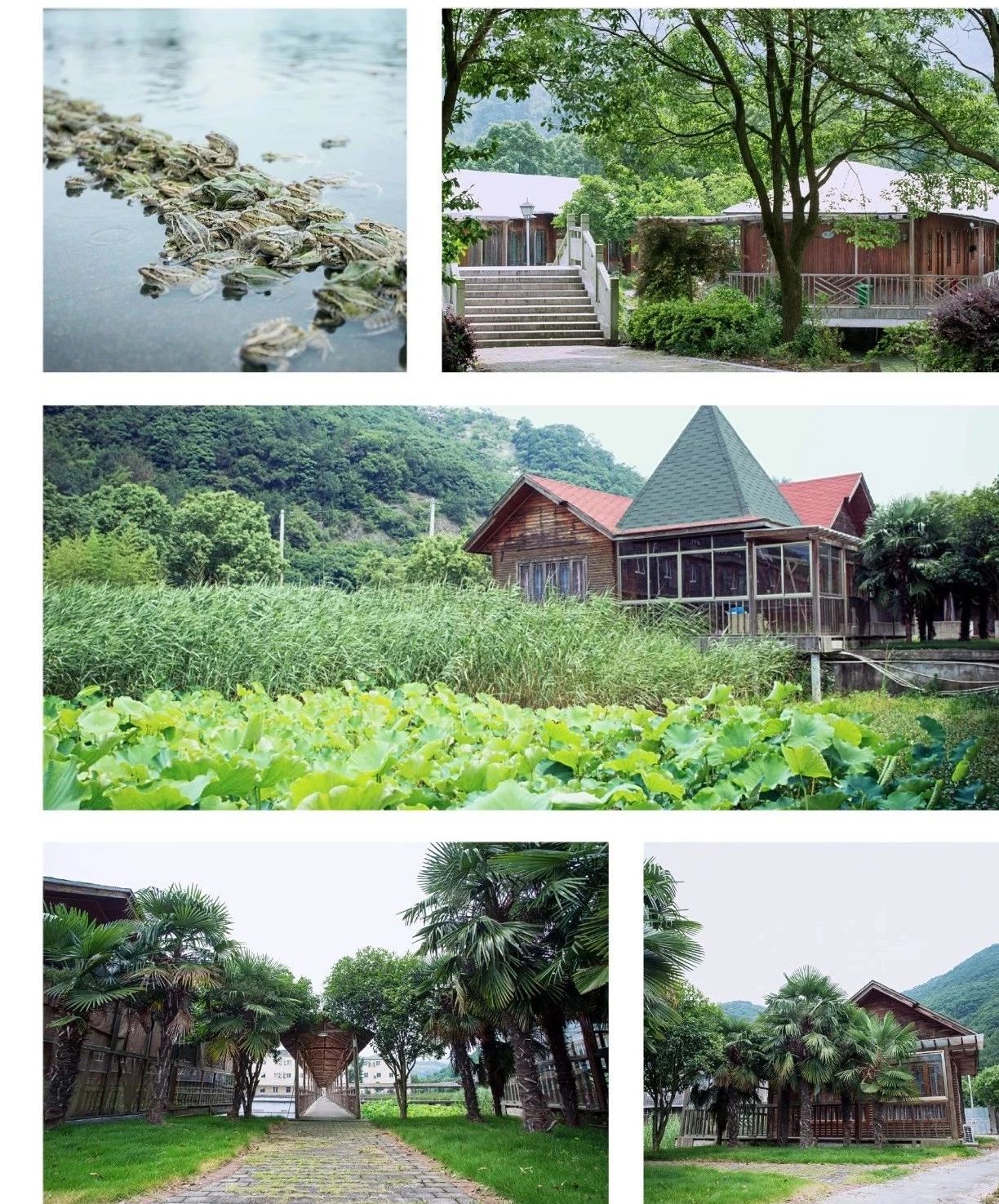 刘丰硕,心相学,群圣文化