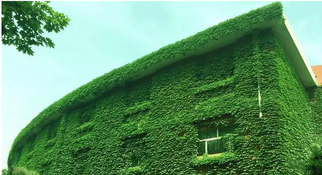 刘丰硕,心相学,群圣文化